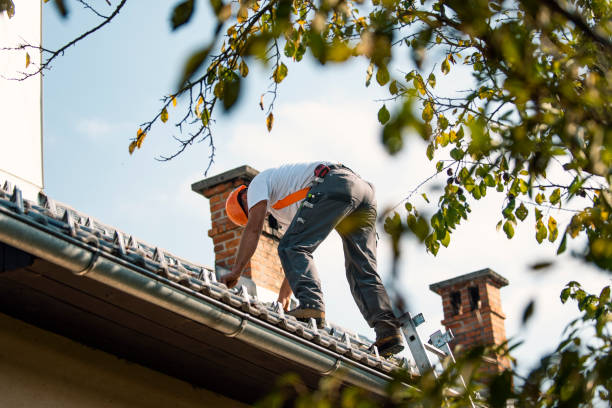 Best Residential Roofing Contractor  in St Johns, AZ
