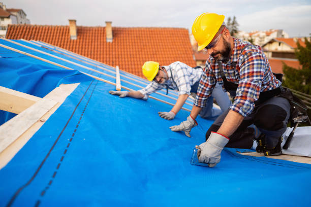 Best Metal Roofing Contractor  in St Johns, AZ